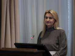 Появилось имя кандидатки на должность главы комитета экономики Волгоградской области