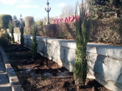 Теплая погода позволила посадить в Волгограде больше деревьев