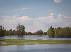 В Волгоградской области из-за пожаров отменен сезон охоты