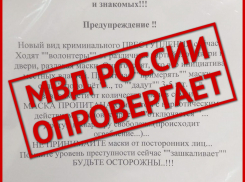 МВД разоблачило фейк о волгоградских волонтерах с наркотическими масками 