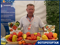 Волгоградцам возвращают семена овощей с «тем самым» вкусом
