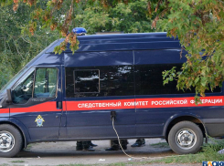 В Волгоградской области нашли мёртвыми женщину с ребёнком