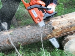 Волгоградец украл у бывшего тестя бензопилу и сдал ее в скупку