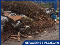 Чиновники разрешили волгоградцам платить на 9% больше за свалки у домов