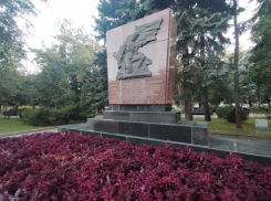 Могила сталинградского героя стала рассадником карантинного сорняка в центре Волгограда