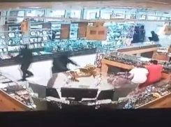 Опубликовано видео ограбления ювелирного салона «Золотые львы» в Камышине 