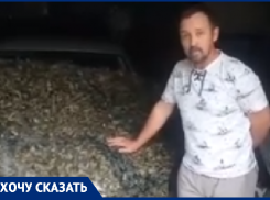 «Им лишь бы сделать фото для отчета»: волгоградцы обвинили чиновников в пиаре на помощи бойцам СВО