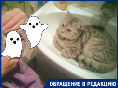 Рабочие-призраки больше месяца мешают волгоградцам принять горячий душ