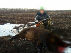 Стоящий над трупом кабана 14-летний мальчик разгневал волгоградцев