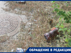 Сотрудница Волжской ГЭС пожаловалась на мусор от автомобилистов, стоящих в пробке