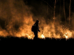 В Волгоградской области введен особый противопожарный режим 