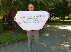 Волгоградцы уверены, что строительство дороги через пойму останется безнаказанным