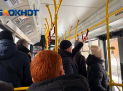 Какой транспорт будет работать в новогоднюю ночь-2026 в Волгограде 