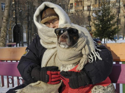 Мороз прочно закрепился в Волгограде