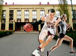 Волгоградский вуз хочет готовить тренеров по интернету