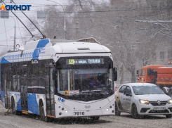 Популярный автобусный маршрут заменят троллейбусами в Волгограде