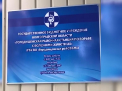 Во взятке в полтора миллиона рублей подозревают волгоградского ветеринара