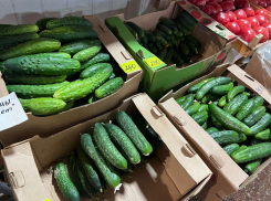 Снова огурцы: топ-5 самых подорожавших продуктов в Волгограде