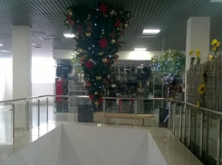 Новогодние елки перевернули в Волгограде