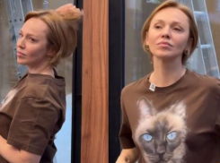 Альбину Джанабаеву заподозрили в подражании сексуальной бэк-вокалистке Меладзе