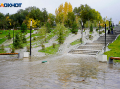 Специалист рассказал, как повлияет канализационное ЧП на рыбу в Волге 