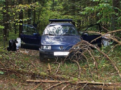 Волгоградцы в соцсетях собирают деньги на похороны убитой ревнивым мужем волгоградки