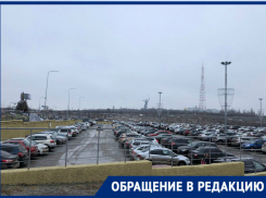 «Ничего себе нет денег»: в Волгограде начался предновогодний ажиотаж