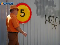 Проклятье реинкарнации придумала для кандидатов в Госдуму волгоградская общественница