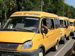 Администрация Волгограда обвинила УФАС в личном пристрастии к маршруткам