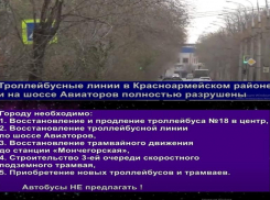 «Автобусы не предлагать»: общественники записали видео в поддержку электросетей Волгограда