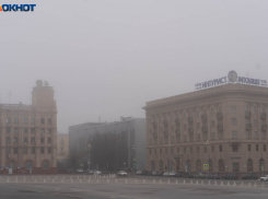 Депутатов в Волгограде признали самыми открытыми для населения 