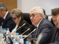 Стало известно, на что потратят депутаты профицит бюджета Волгоградской области 2019 года