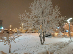 Мокрый снег и похолодание пообещали синоптики волгоградцам