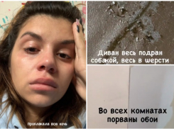 Волгоградской звезде «Дома-2» «убили» московскую квартиру арендаторы с милой собачкой