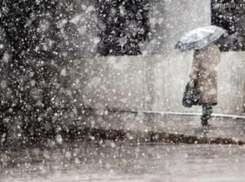 На смену «бабьему лету» в Волгоград пришли дожди со снегом 