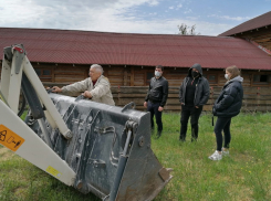 В Волгограде растет число защитников приговоренной к сносу конюшни усадьбы «Сосновый бор»