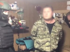 В Волгограде 9 сутенеров организовали работу не менее 10 проституток