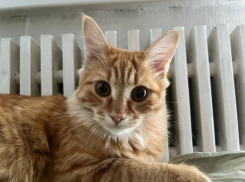 Куда звонить, если дома холодно? Инструкция для волгоградцев