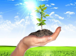 Ноу-хау американцев о погребении шокировало волгоградцев