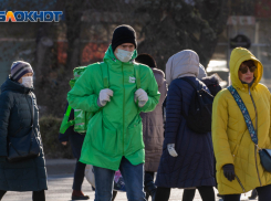 Четверо умерших и 238 инфицированных: статистика по COVID-19 в Волгоградской области