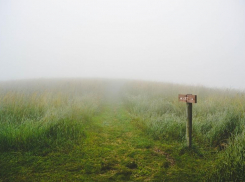 Львы этой осенью окажутся перед сложным выбором, - астролог