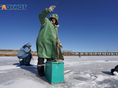 Утренний гололед и три вида снега: настоящая весна не спешит в Волгоград 21 марта