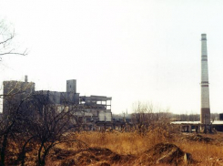 В Волгограде каждый месяц закрывается почти сто ИП