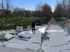 Ветер повалил известный тополь у Мамаева кургана