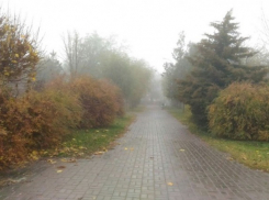 Сильный ветер и туман обещают синоптики волгоградцам