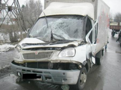 В Волгоградской области пьяный водитель сбил мать и взрослую дочь