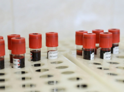 Донорская кровь срочно требуется в Волгограде 