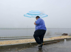 Жители Волгограда признались в любви к дождю
