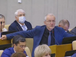 Олег Шеин: «Отменить правило нулевого дохода»