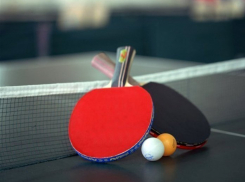 Комитет природных ресурсов Волгоградской области «играл в пинг-понг» с Росприроднадзором